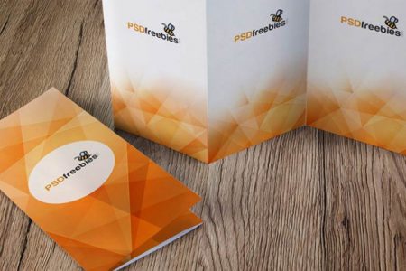 46+ Download A4 Bifold Brochure Mockup Free&nbsp;Psd